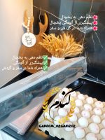 باکس نظم دهنده تخم مرغ - Image 2