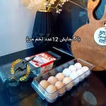 باکس تخم مرغ دنزی - Image 6