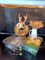 باکس آکرولیک نشکن - Image 3