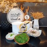ظرف ماست