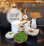 ظرف ماست